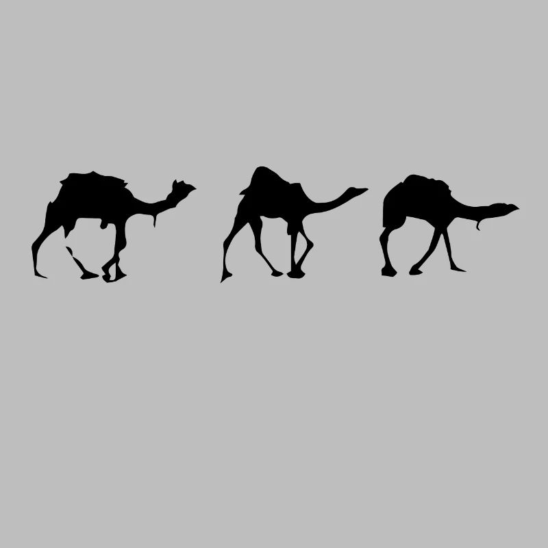 Camels