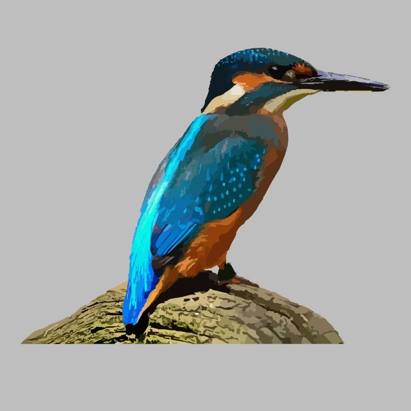 Kingfisher