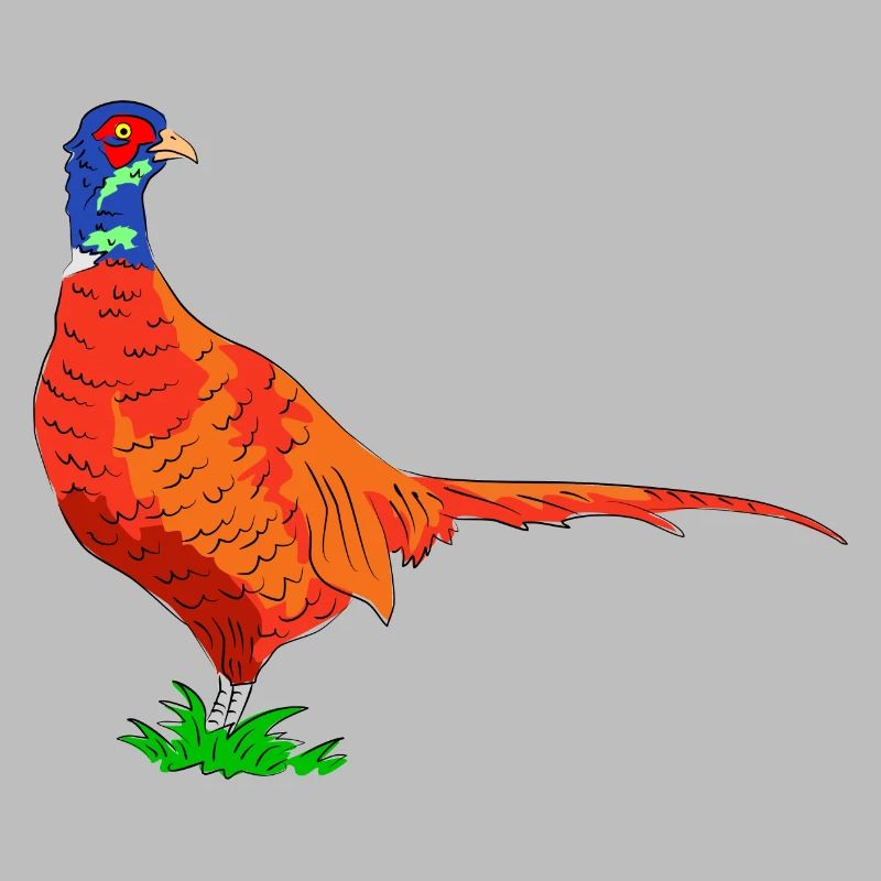 pheasant