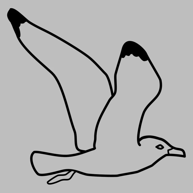 gull