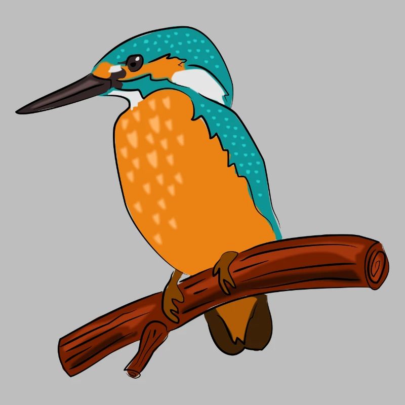 eisvogel vogel bunt