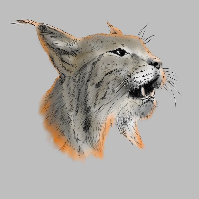 Lynx