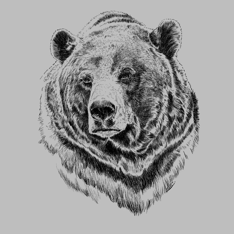 Bär