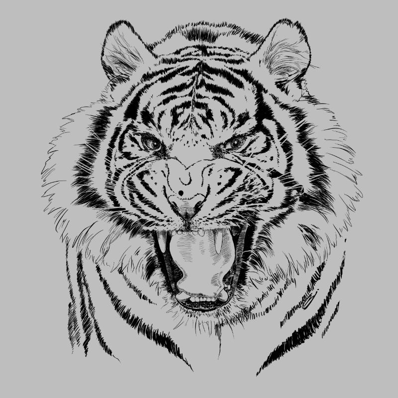 tiger