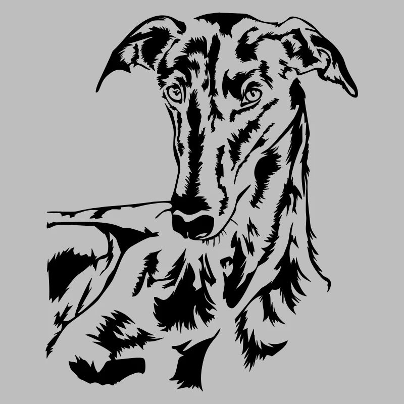 Galgo head
