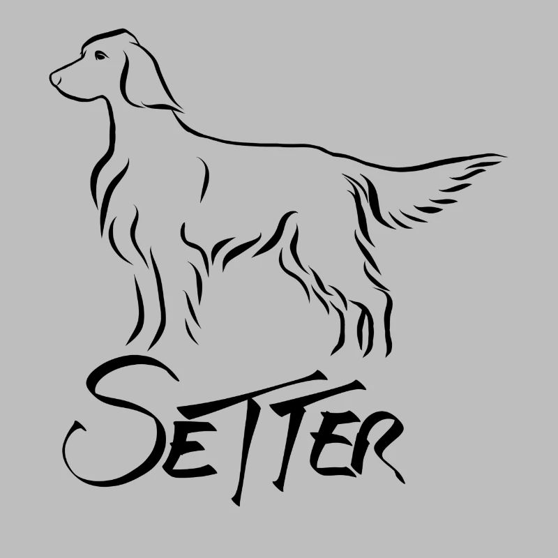 Setter standing
