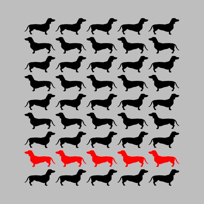 Dackel Dachshund Teckel