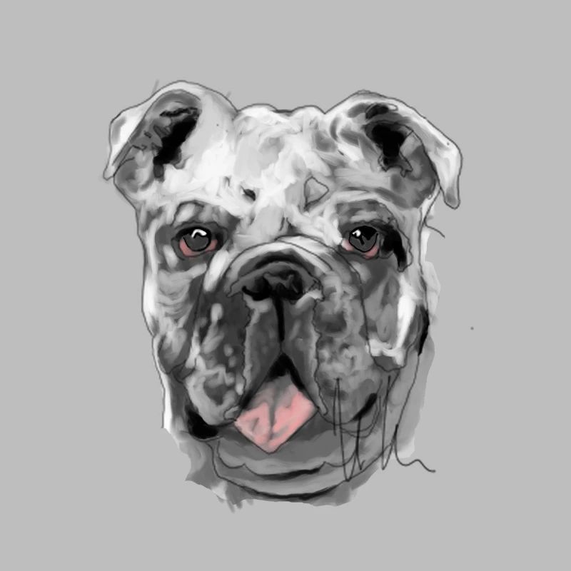 Bouledogue