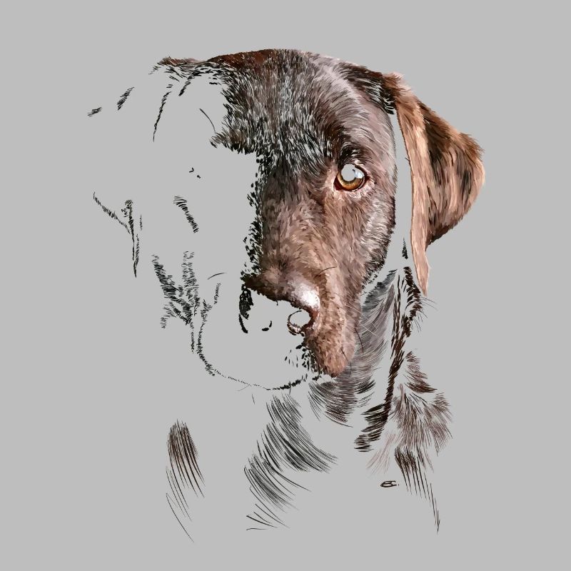 Labrador