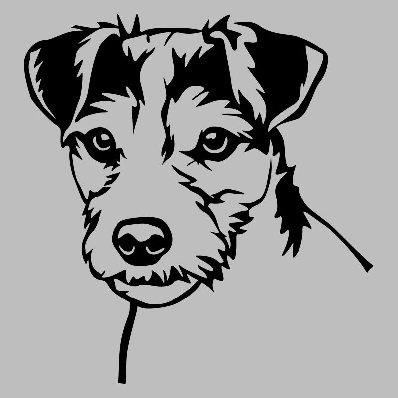 Parson Russell Terrier Kopf