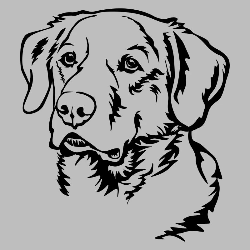 Tête de labrador