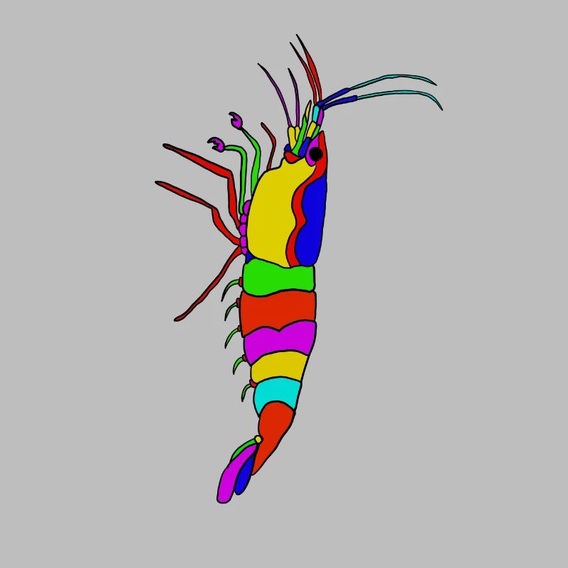 Bunter Garnelen-Panorama