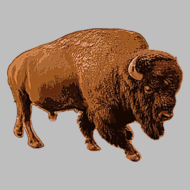 Bison