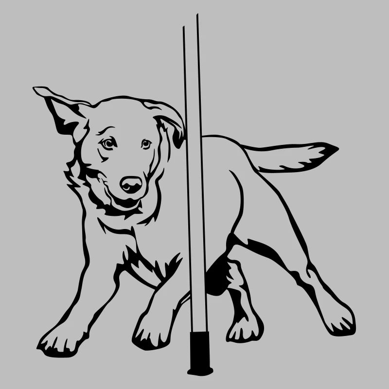 Labrador