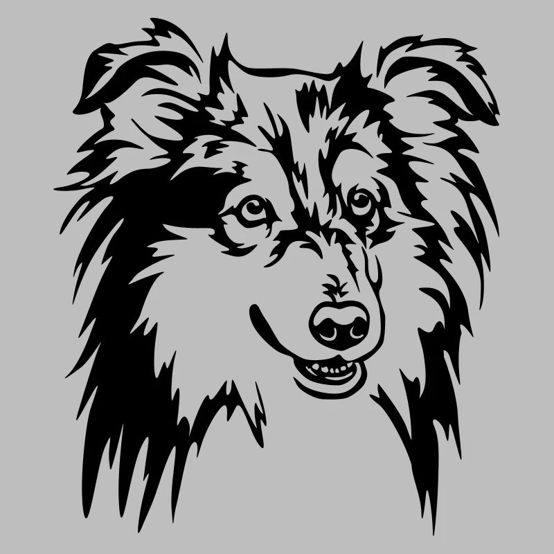 Sheltie Head
