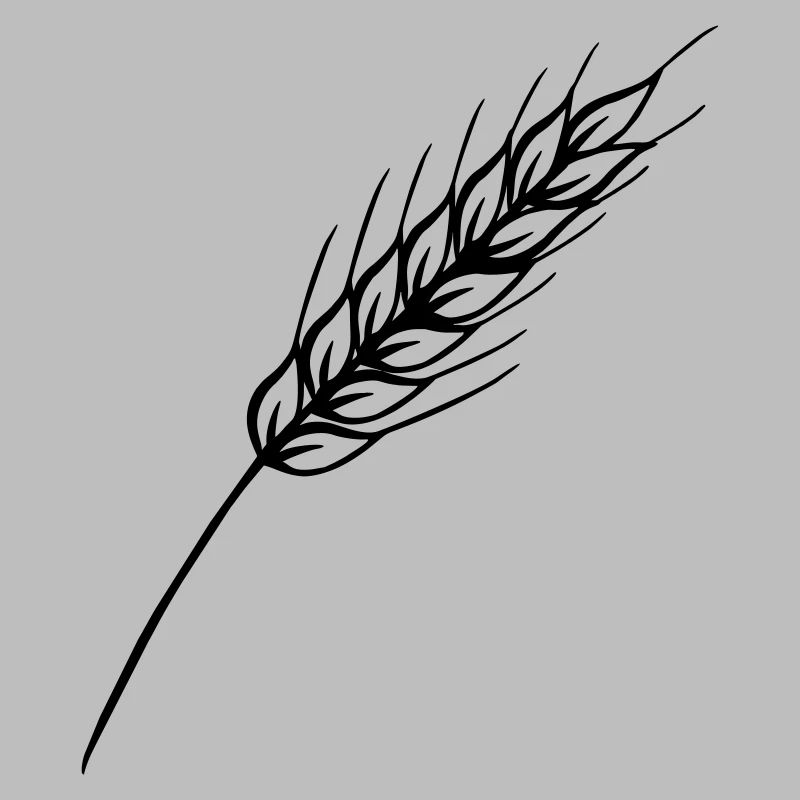 Tige fine à grain