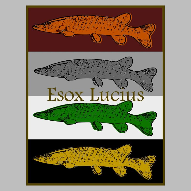 Colorful Pike Design