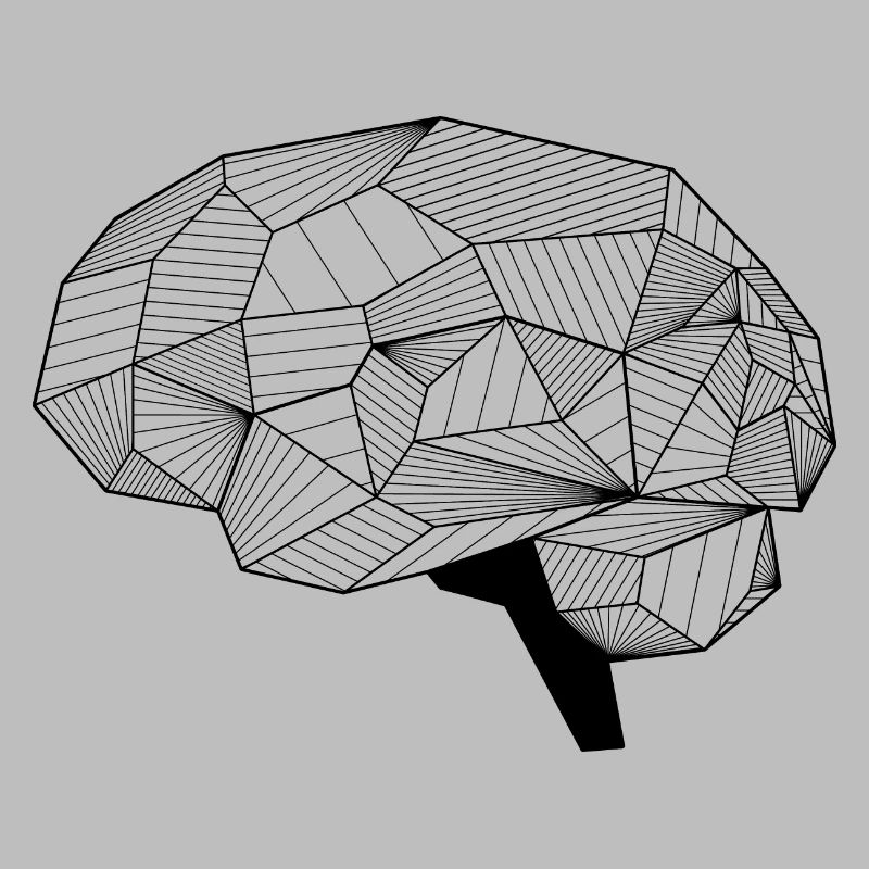 Brain