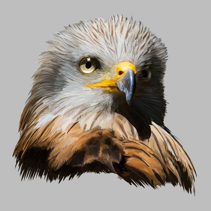 Imperial eagle