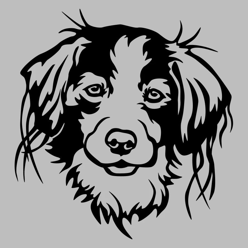 Kooikerhondje Kopf