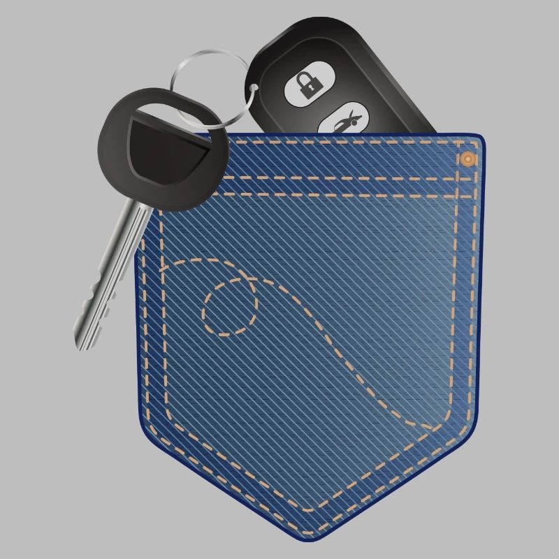 Car key with remote control in your pocket