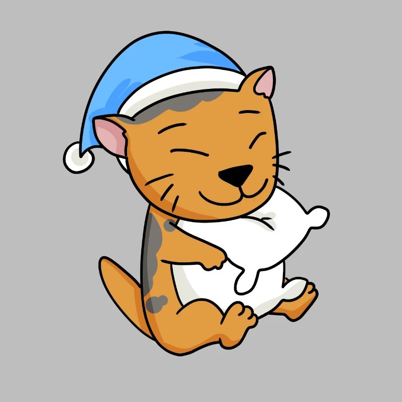 Cat Cat Breed Scottish Folding Ear Cat