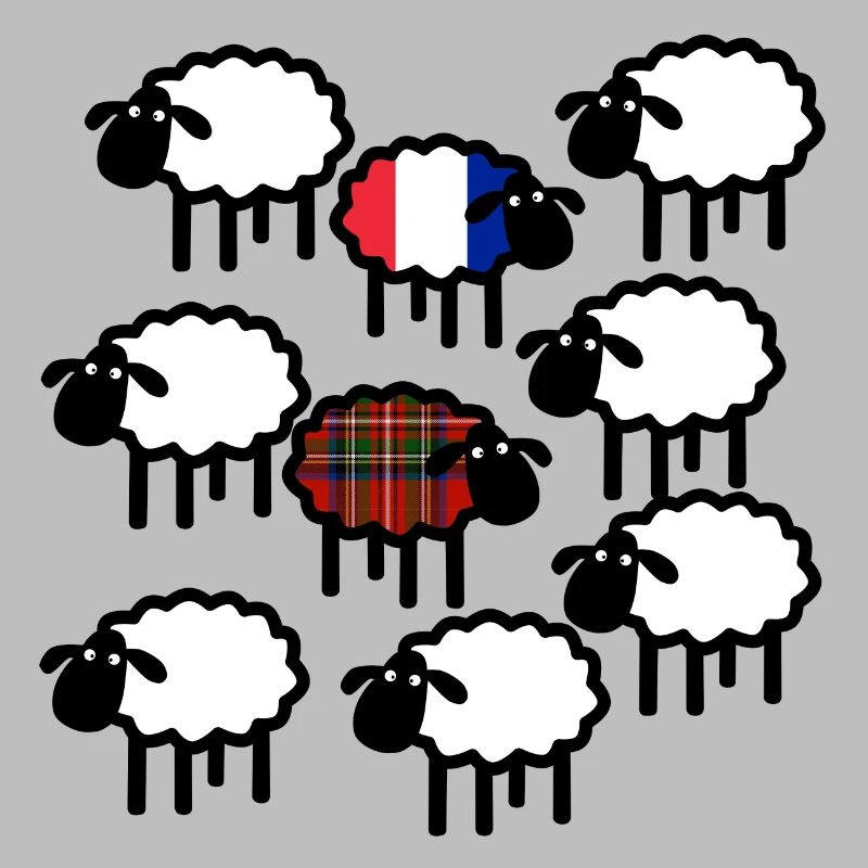 Moutons français et écossais