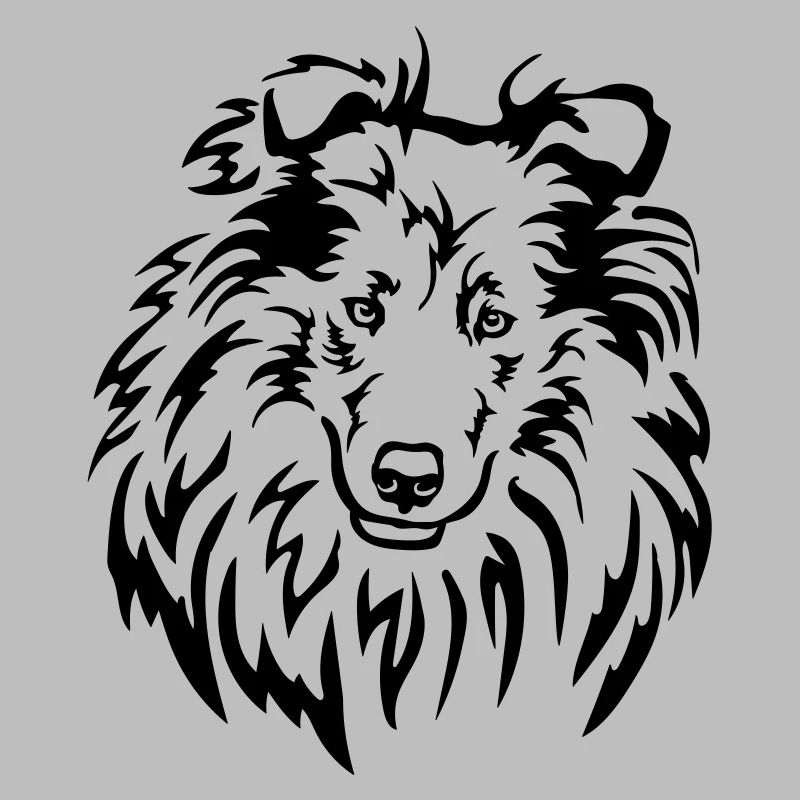Collie Kopf