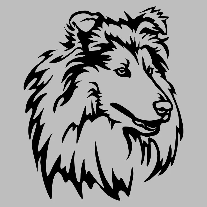 Tête de Collie