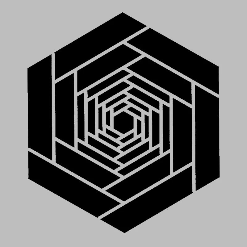 Hexagone infini noir fleur