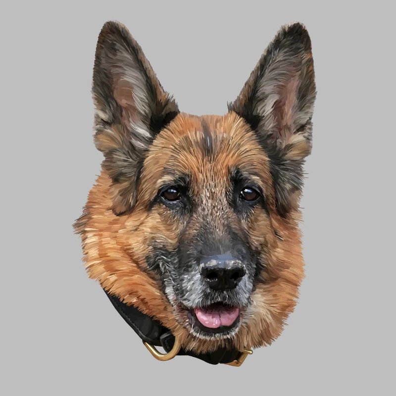 Schäferhund