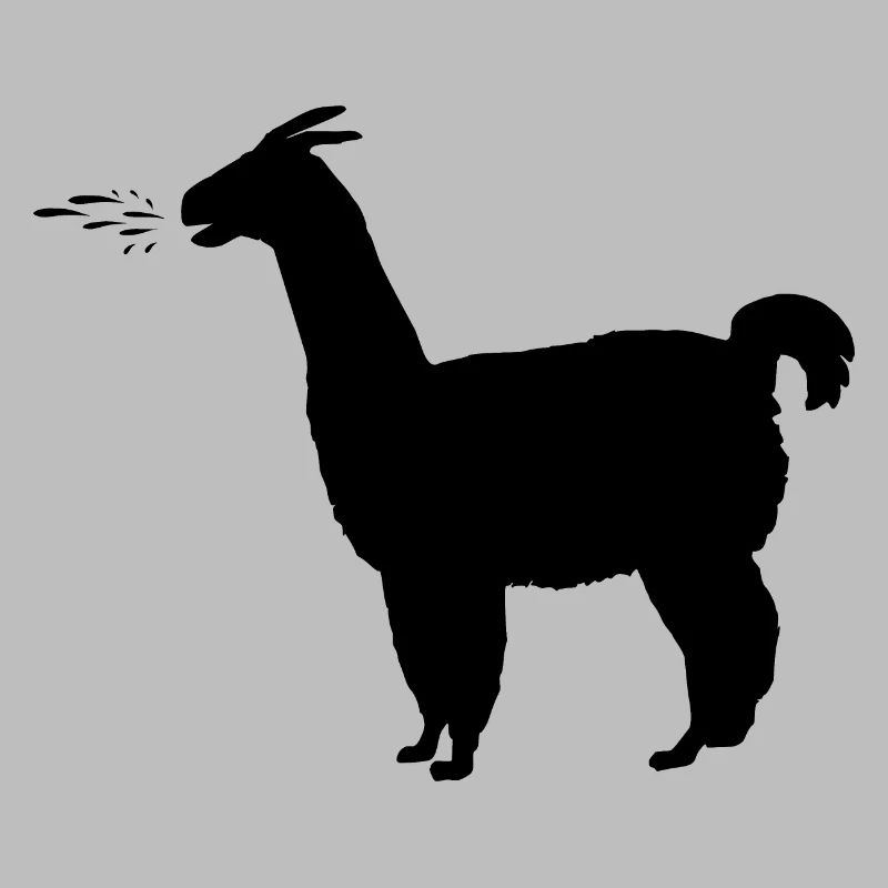Llama spits