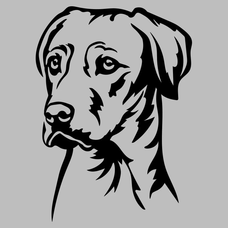 Rhodesian Ridgeback Head