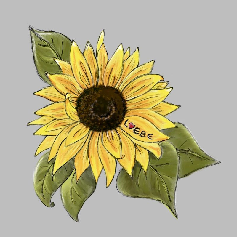 Tournesol 🌻