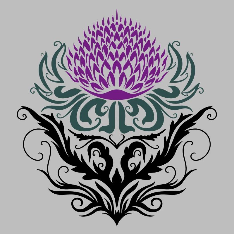 Chardon pourpre Chardon