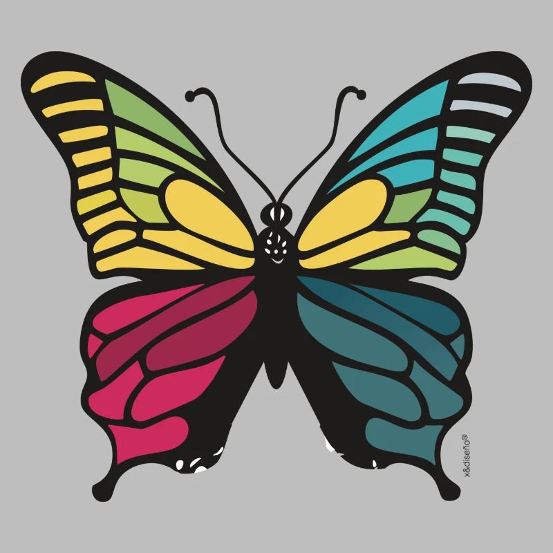 Vibrant rainbow butterfly