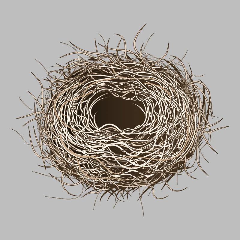 leeres Vogelnest oder Osternest zum Frühling