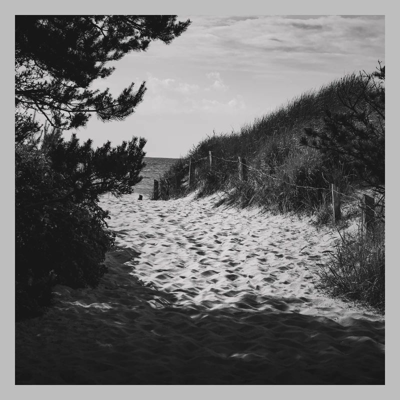 Beach Access West Beach Prerow Baltic Sea Darß Poster