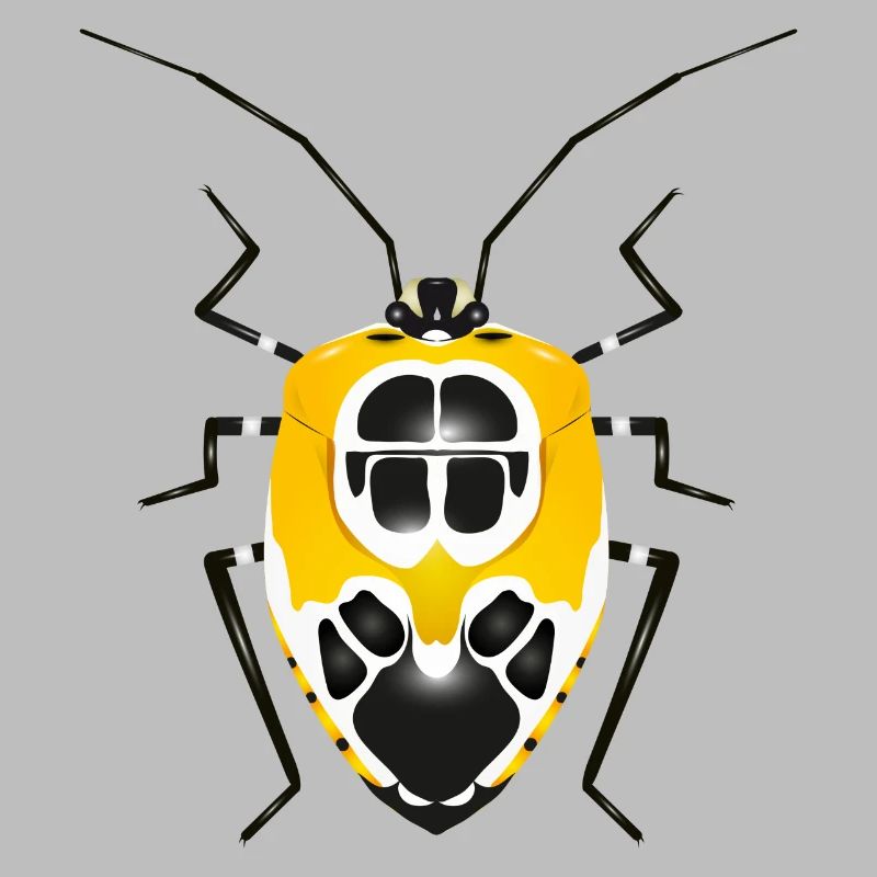 Runibia decorata Insecte rampant effrayant jaune noir
