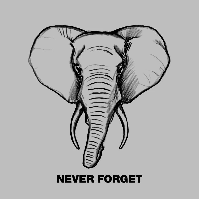 Elephant - Never forget