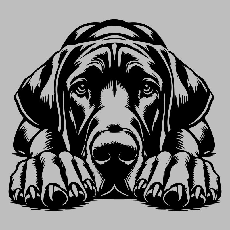 Great Dane