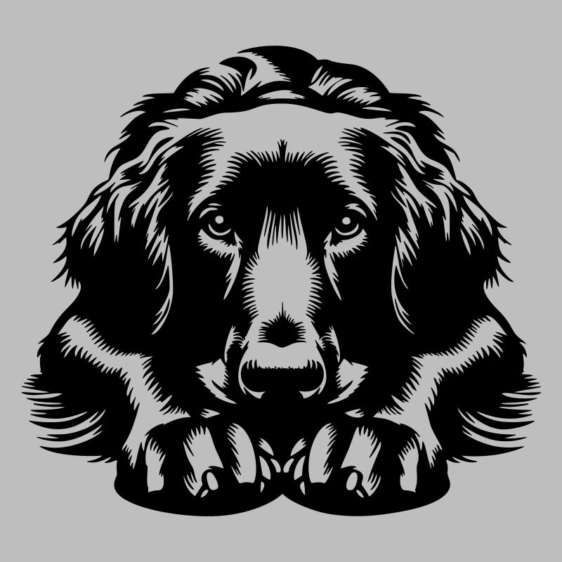 Flat-coated Retriever
