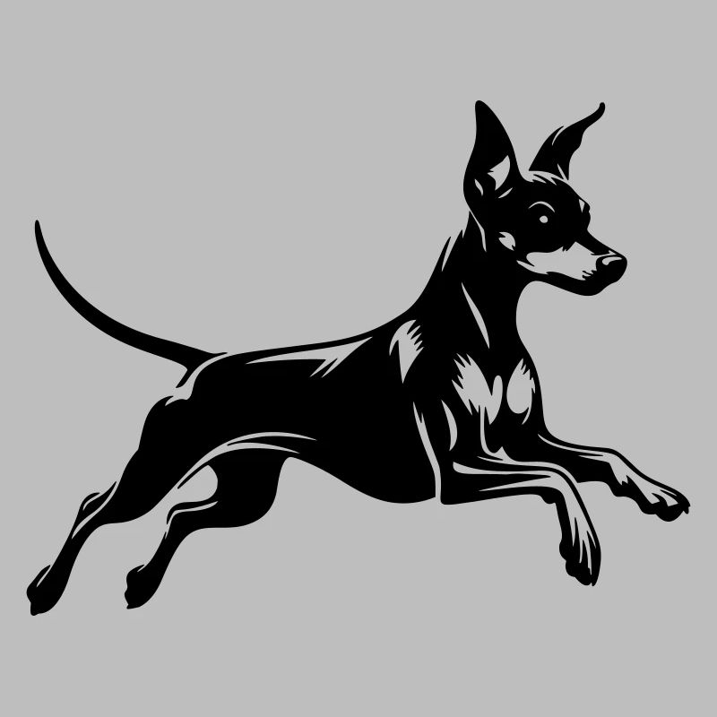 Zwergpinscher