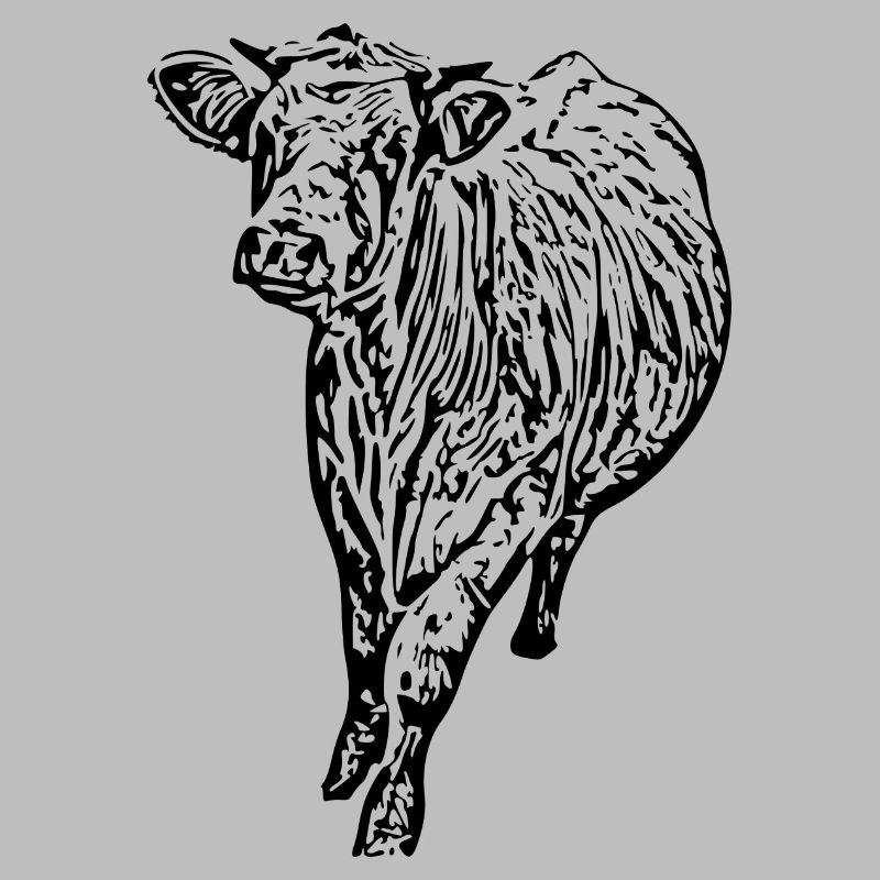 Vache