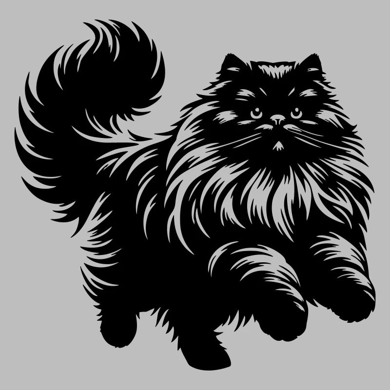 Chat persan - Persan