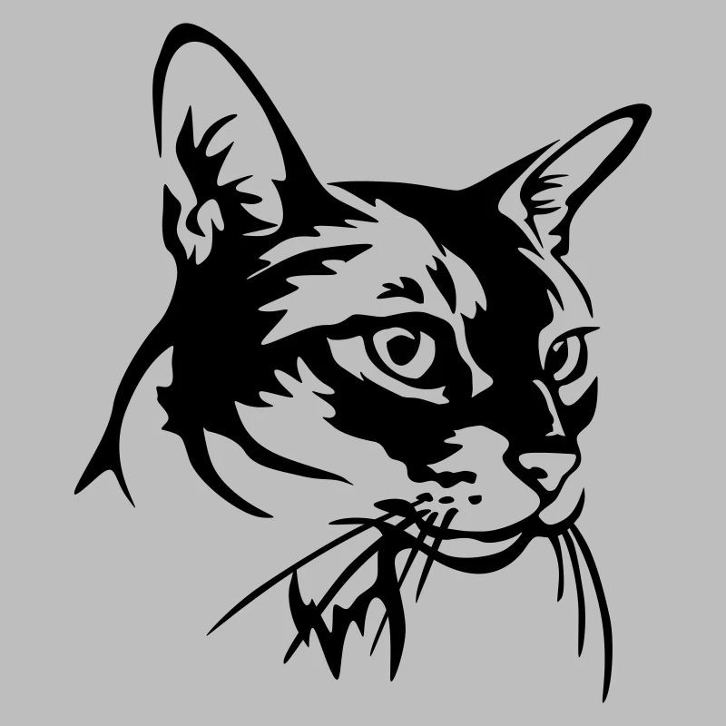 Abessiner Katze