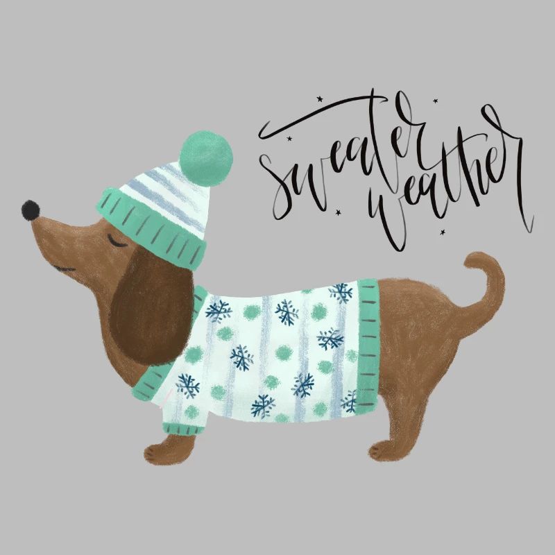 Dackel mit Pullover und Mütze - Sweater Weather