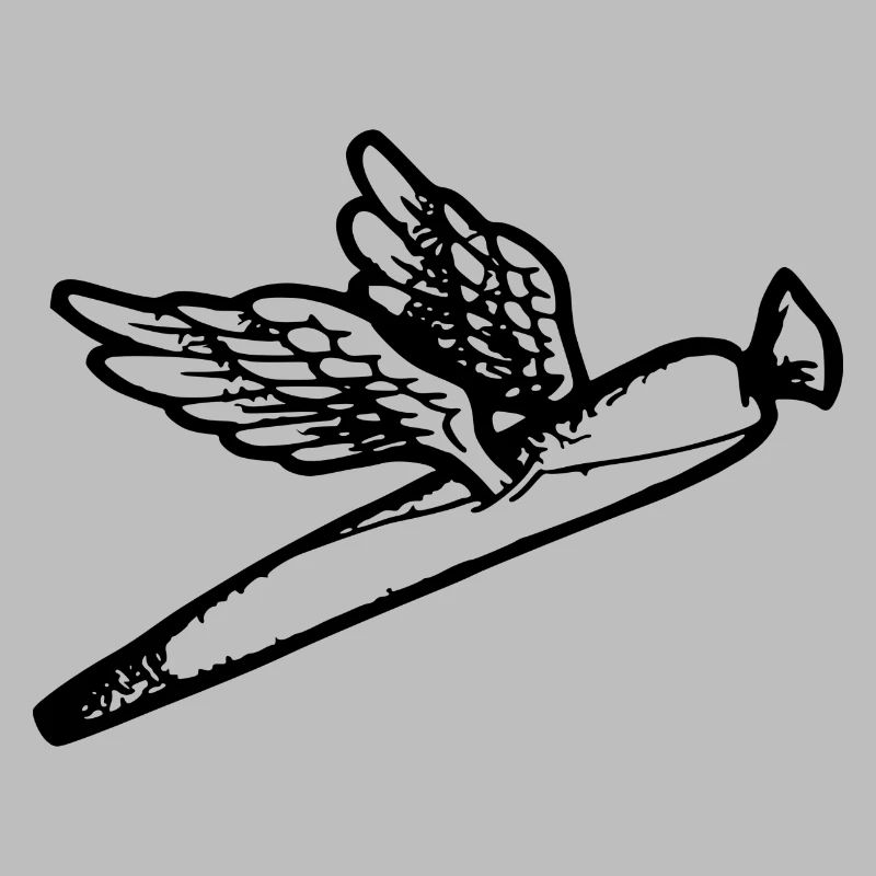 We fly so High