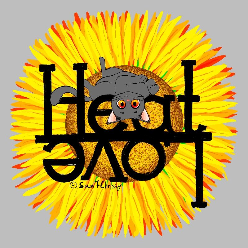 Chat d’été Chaleur Amour