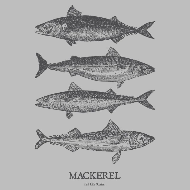 Mackerel Silhouette Quartet